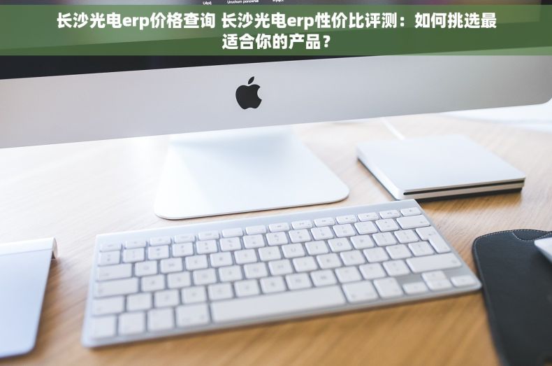 长沙光电erp价格查询 长沙光电erp性价比评测：如何挑选最适合你的产品？