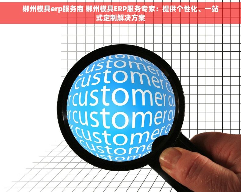 郴州模具erp服务商 郴州模具ERP服务专家：提供个性化、一站式定制解决方案