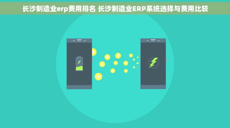 长沙制造业erp费用排名 长沙制造业ERP系统选择与费用比较