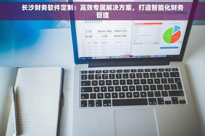 长沙财务软件定制：高效专属解决方案，打造智能化财务管理