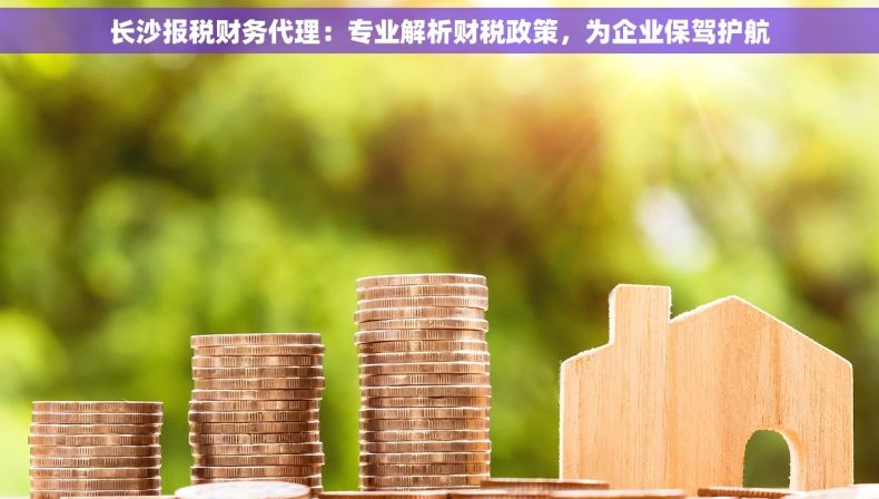 长沙报税财务代理：专业解析财税政策，为企业保驾护航
