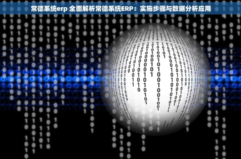 常德系统erp 全面解析常德系统ERP：实施步骤与数据分析应用