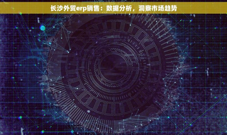 长沙外贸erp销售：数据分析，洞察市场趋势
