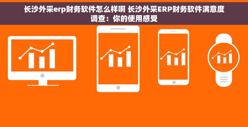 长沙外采erp财务软件怎么样啊 长沙外采ERP财务软件满意度调查：你的使用感受