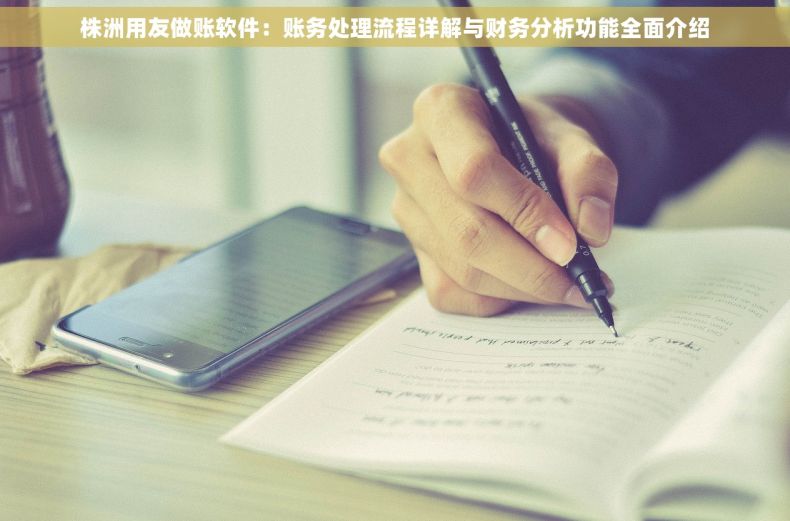 株洲用友做账软件：账务处理流程详解与财务分析功能全面介绍
