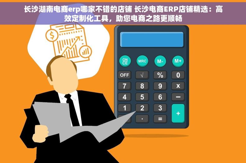 长沙湖南电商erp哪家不错的店铺 长沙电商ERP店铺精选：高效定制化工具，助您电商之路更顺畅