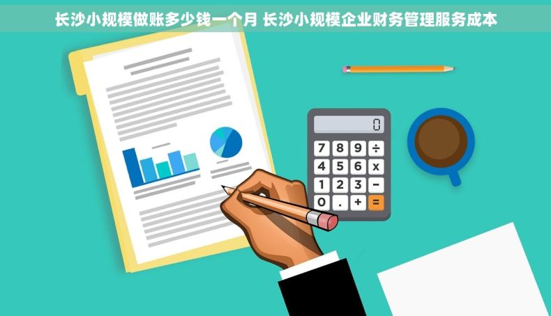 长沙小规模做账多少钱一个月 长沙小规模企业财务管理服务成本