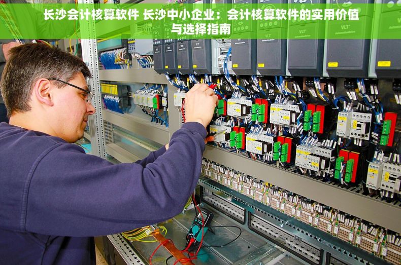长沙会计核算软件 长沙中小企业：会计核算软件的实用价值与选择指南