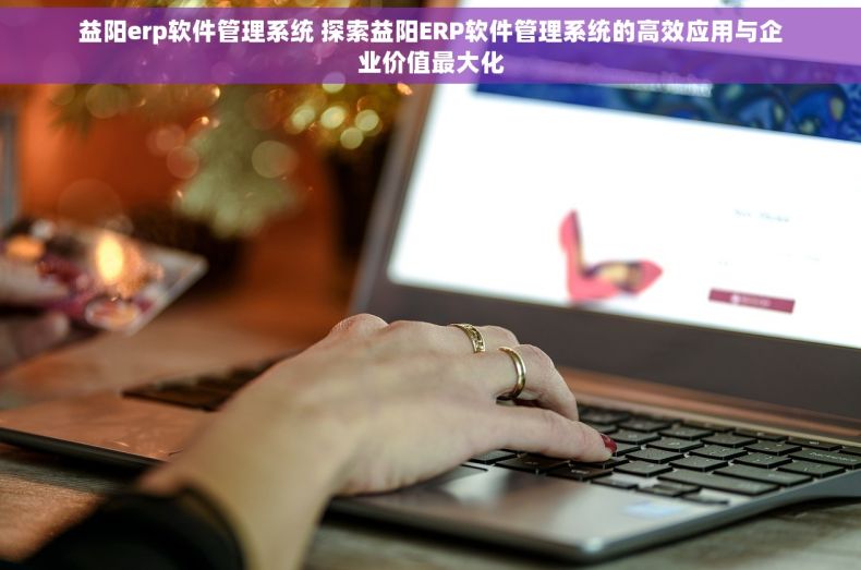 益阳erp软件管理系统 探索益阳ERP软件管理系统的高效应用与企业价值最大化