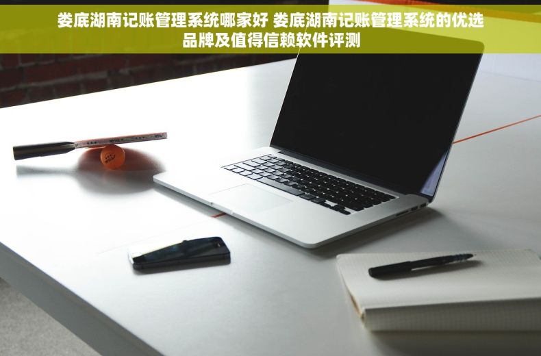 娄底湖南记账管理系统哪家好 娄底湖南记账管理系统的优选品牌及值得信赖软件评测