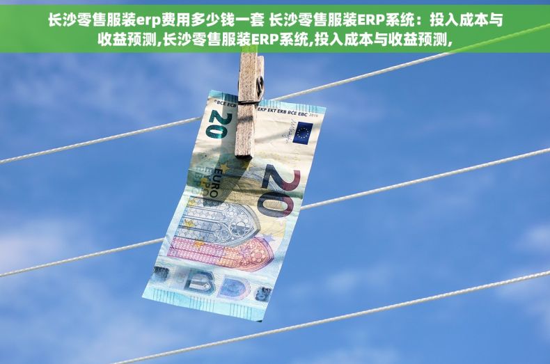 长沙零售服装erp费用多少钱一套 长沙零售服装ERP系统：投入成本与收益预测,长沙零售服装ERP系统,投入成本与收益预测,