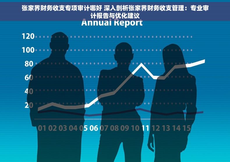 张家界财务收支专项审计哪好 深入剖析张家界财务收支管理：专业审计报告与优化建议