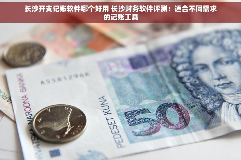 长沙开支记账软件哪个好用 长沙财务软件评测：适合不同需求的记账工具