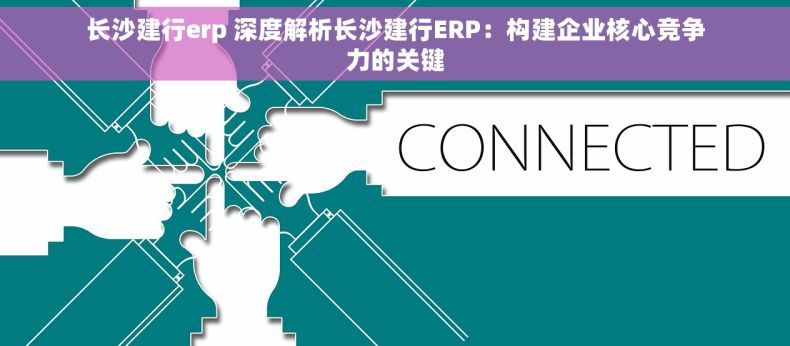 长沙建行erp 深度解析长沙建行ERP：构建企业核心竞争力的关键