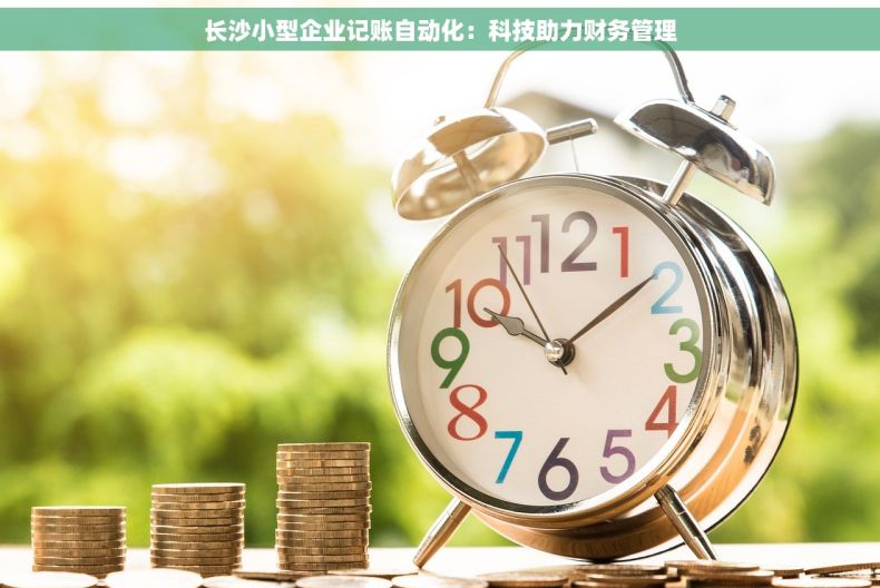 长沙小型企业记账自动化：科技助力财务管理