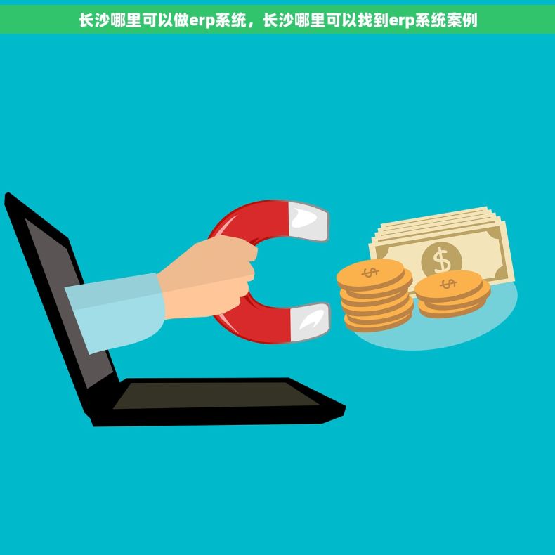 长沙哪里可以做erp系统，长沙哪里可以找到erp系统案例