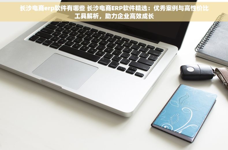 长沙电商erp软件有哪些 长沙电商ERP软件精选：优秀案例与高性价比工具解析，助力企业高效成长