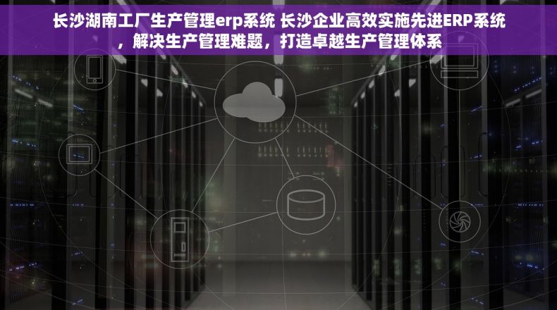 长沙湖南工厂生产管理erp系统 长沙企业高效实施先进ERP系统，解决生产管理难题，打造卓越生产管理体系