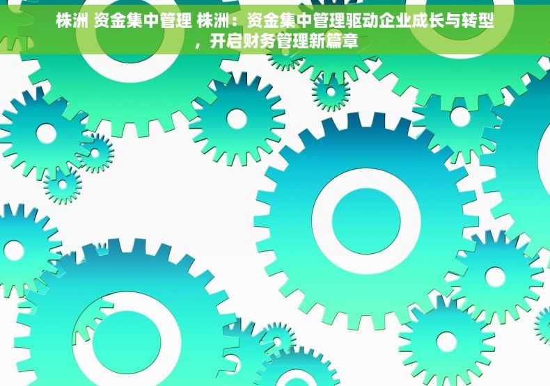 株洲 资金集中管理 株洲：资金集中管理驱动企业成长与转型，开启财务管理新篇章