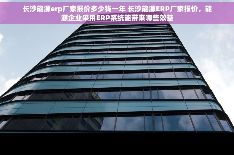 长沙能源erp厂家报价多少钱一年 长沙能源ERP厂家报价，能源企业采用ERP系统能带来哪些效益
