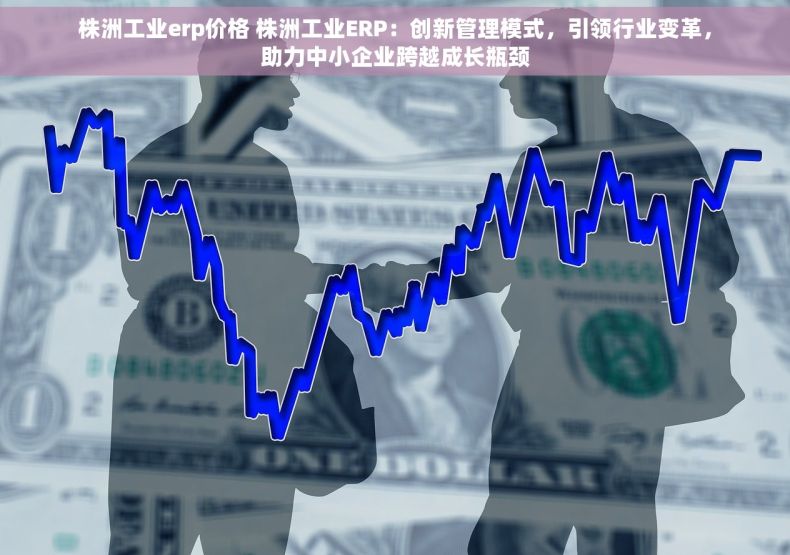 株洲工业erp价格 株洲工业ERP：创新管理模式，引领行业变革，助力中小企业跨越成长瓶颈