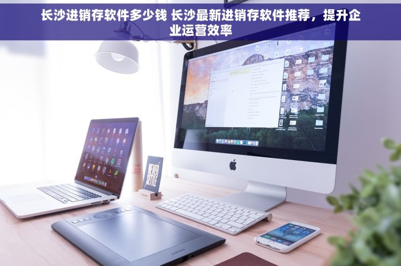 长沙进销存软件多少钱 长沙最新进销存软件推荐，提升企业运营效率