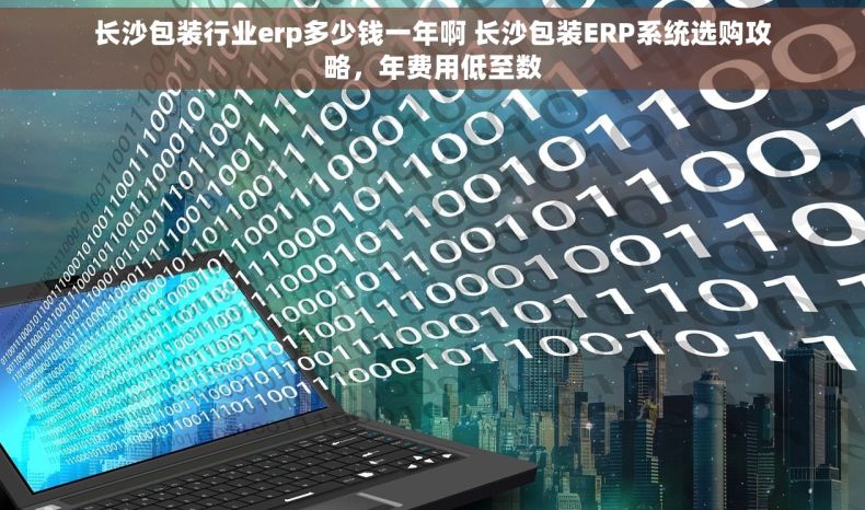 长沙包装行业erp多少钱一年啊 长沙包装ERP系统选购攻略，年费用低至数