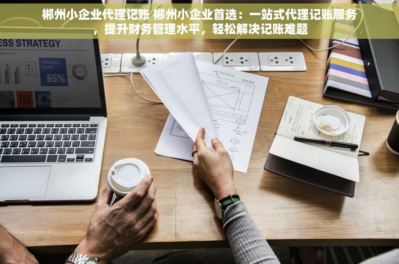 郴州小企业代理记账 郴州小企业首选：一站式代理记账服务，提升财务管理水平，轻松解决记账难题