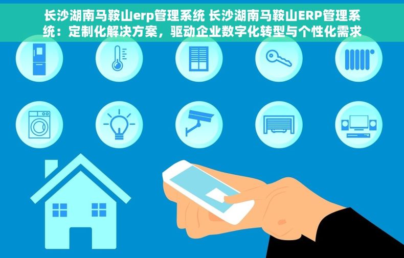 长沙湖南马鞍山erp管理系统 长沙湖南马鞍山ERP管理系统：定制化解决方案，驱动企业数字化转型与个性化需求