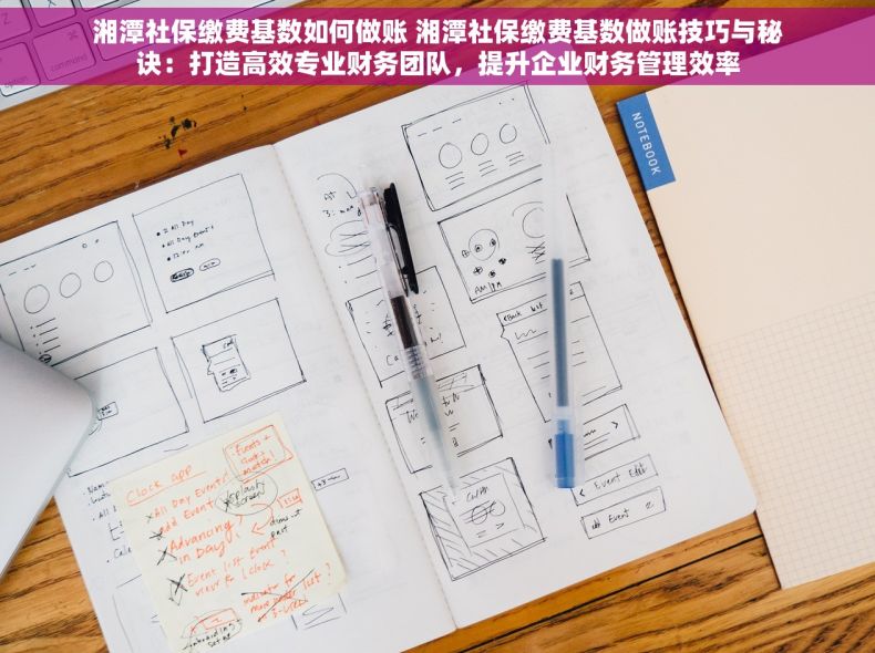 湘潭社保缴费基数如何做账 湘潭社保缴费基数做账技巧与秘诀：打造高效专业财务团队，提升企业财务管理效率