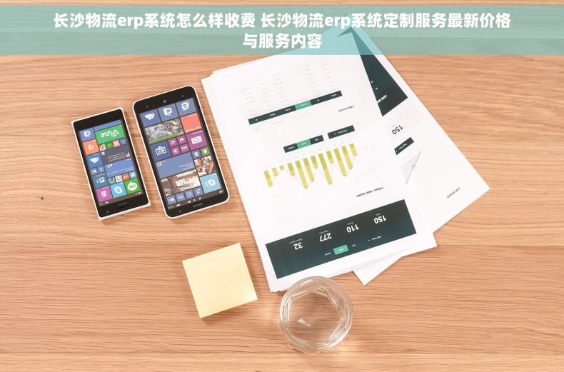 长沙物流erp系统怎么样收费 长沙物流erp系统定制服务最新价格与服务内容