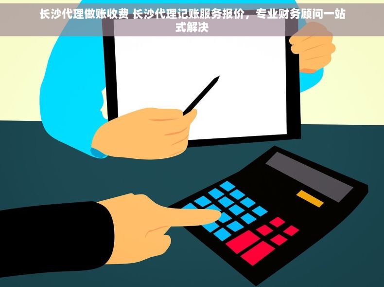 长沙代理做账收费 长沙代理记账服务报价，专业财务顾问一站式解决