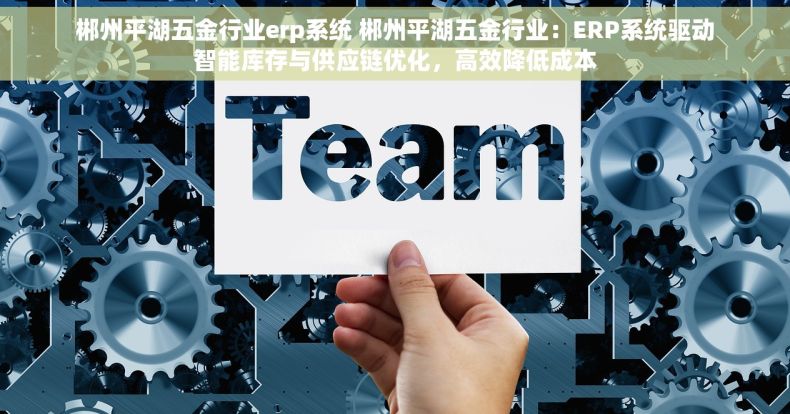 郴州平湖五金行业erp系统 郴州平湖五金行业：ERP系统驱动智能库存与供应链优化，高效降低成本