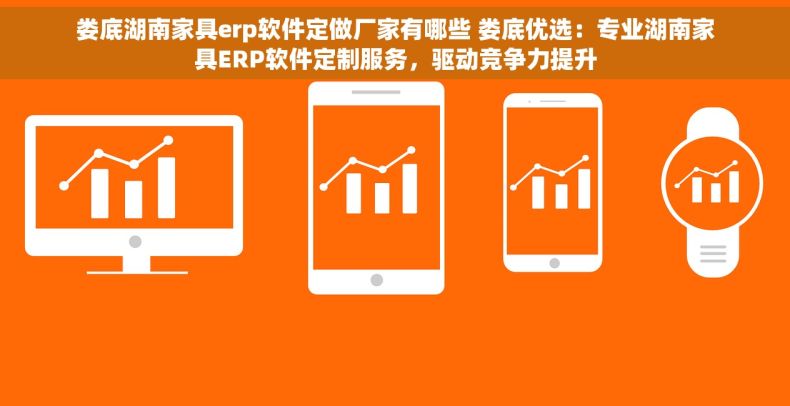 娄底湖南家具erp软件定做厂家有哪些 娄底优选：专业湖南家具ERP软件定制服务，驱动竞争力提升