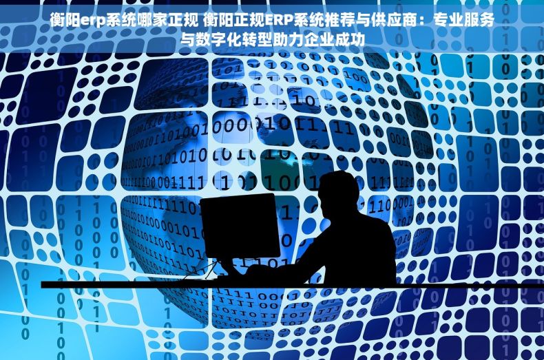 衡阳erp系统哪家正规 衡阳正规ERP系统推荐与供应商：专业服务与数字化转型助力企业成功