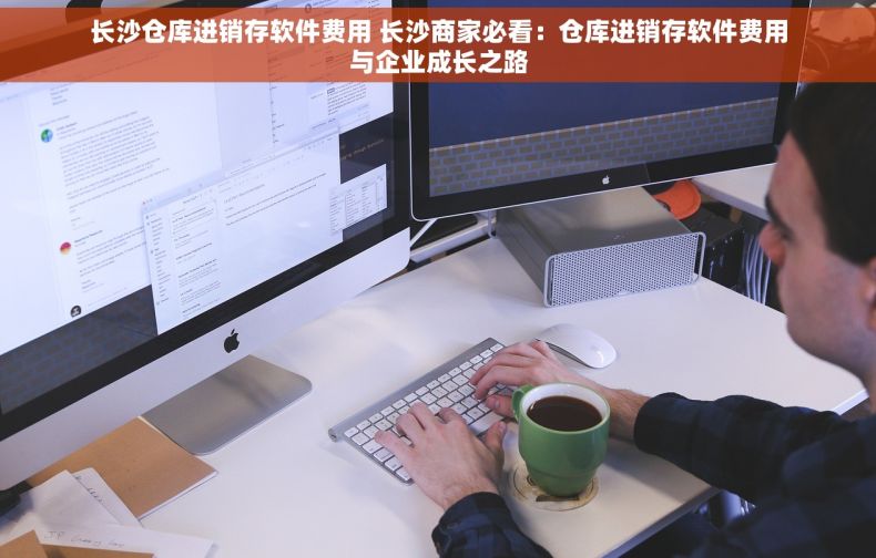 长沙仓库进销存软件费用 长沙商家必看：仓库进销存软件费用与企业成长之路