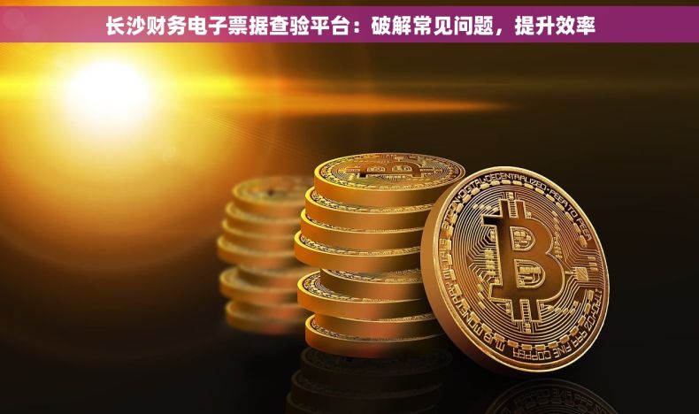 长沙财务电子票据查验平台：破解常见问题，提升效率