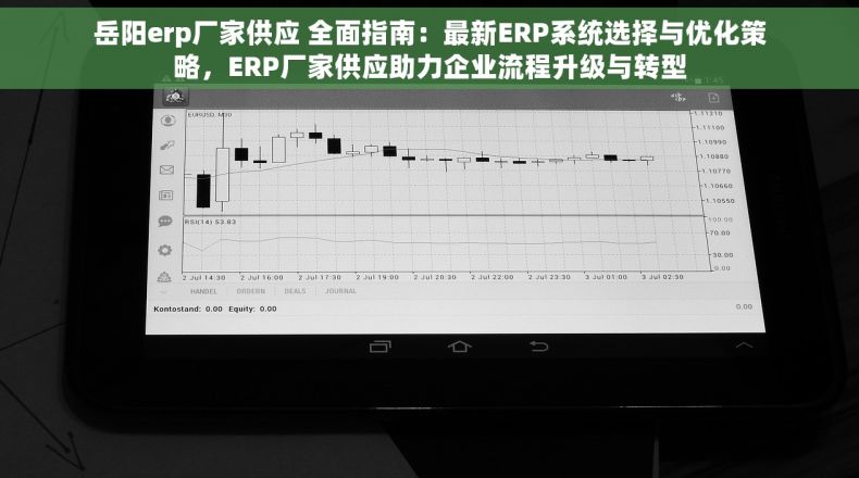 岳阳erp厂家供应 全面指南：最新ERP系统选择与优化策略，ERP厂家供应助力企业流程升级与转型