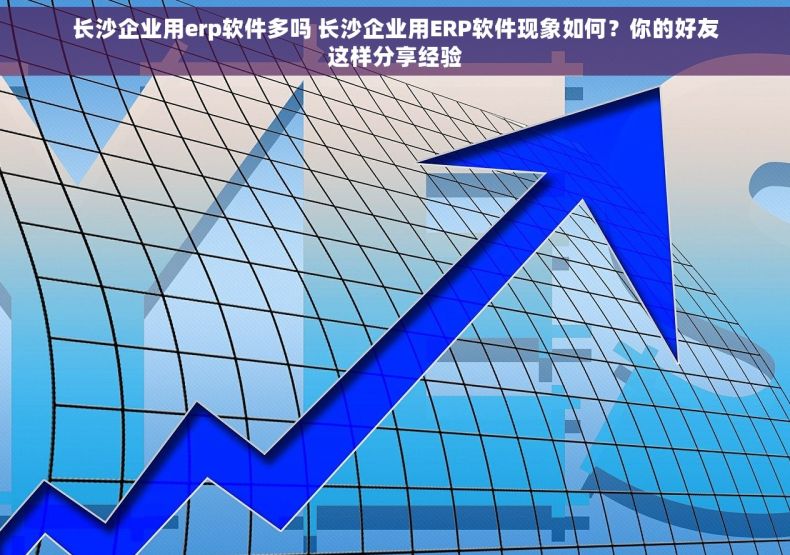 长沙企业用erp软件多吗 长沙企业用ERP软件现象如何？你的好友这样分享经验