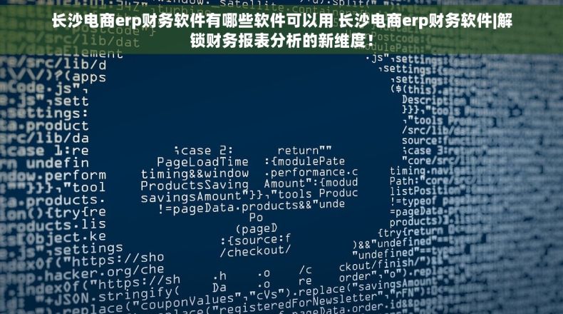 长沙电商erp财务软件有哪些软件可以用 长沙电商erp财务软件|解锁财务报表分析的新维度！