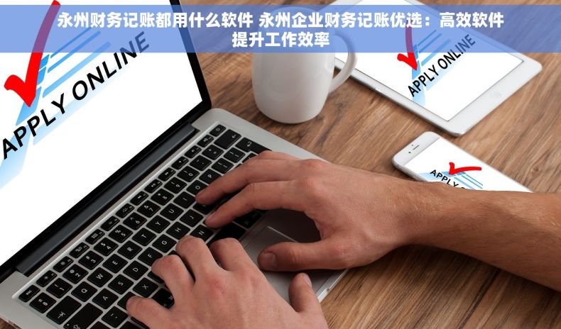 永州财务记账都用什么软件 永州企业财务记账优选：高效软件提升工作效率