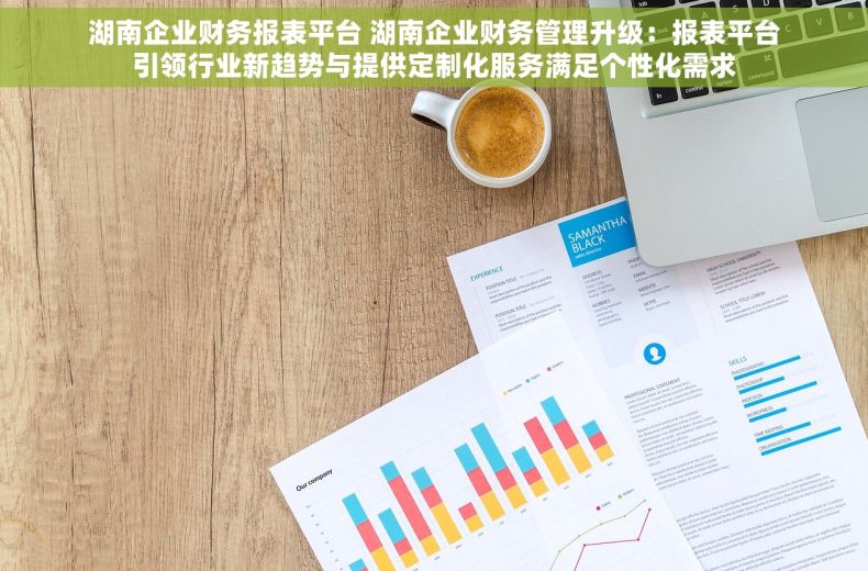 湖南企业财务报表平台 湖南企业财务管理升级：报表平台引领行业新趋势与提供定制化服务满足个性化需求