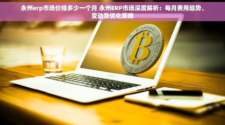 永州erp市场价格多少一个月 永州ERP市场深度解析：每月费用趋势、变动及优化策略