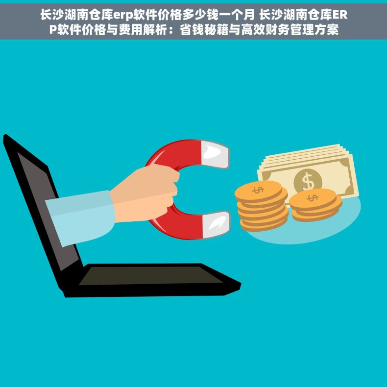 长沙湖南仓库erp软件价格多少钱一个月 长沙湖南仓库ERP软件价格与费用解析：省钱秘籍与高效财务管理方案