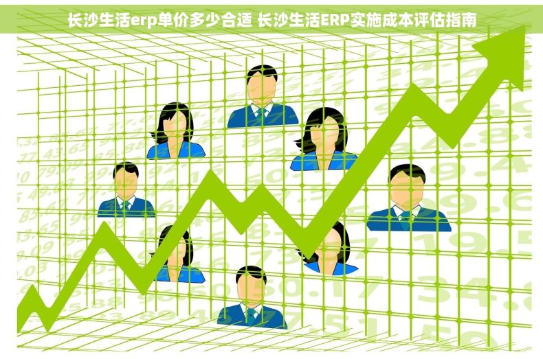长沙生活erp单价多少合适 长沙生活ERP实施成本评估指南