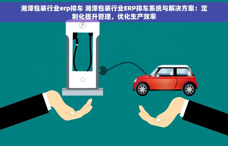 湘潭包装行业erp排车 湘潭包装行业ERP排车系统与解决方案：定制化提升管理，优化生产效率
