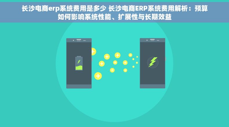 长沙电商erp系统费用是多少 长沙电商ERP系统费用解析：预算如何影响系统性能、扩展性与长期效益