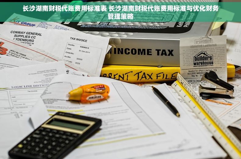 长沙湖南财税代账费用标准表 长沙湖南财税代账费用标准与优化财务管理策略