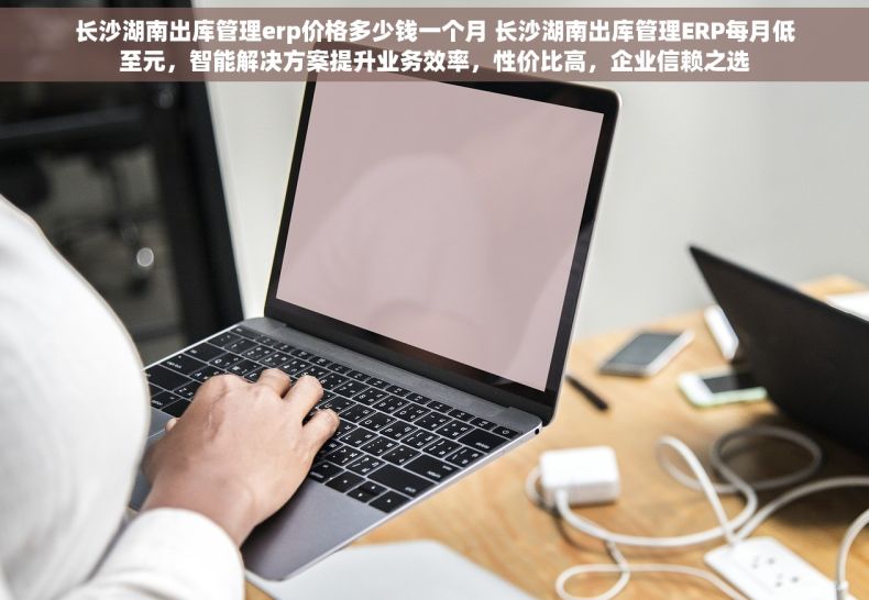 长沙湖南出库管理erp价格多少钱一个月 长沙湖南出库管理ERP每月低至元，智能解决方案提升业务效率，性价比高，企业信赖之选