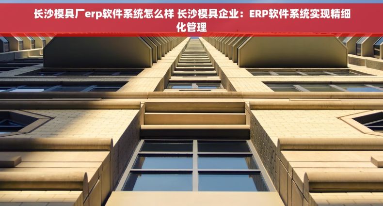 长沙模具厂erp软件系统怎么样 长沙模具企业：ERP软件系统实现精细化管理